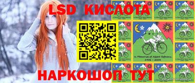 гашик Вышний Волочёк