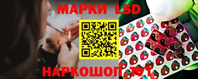 гашик Вязники