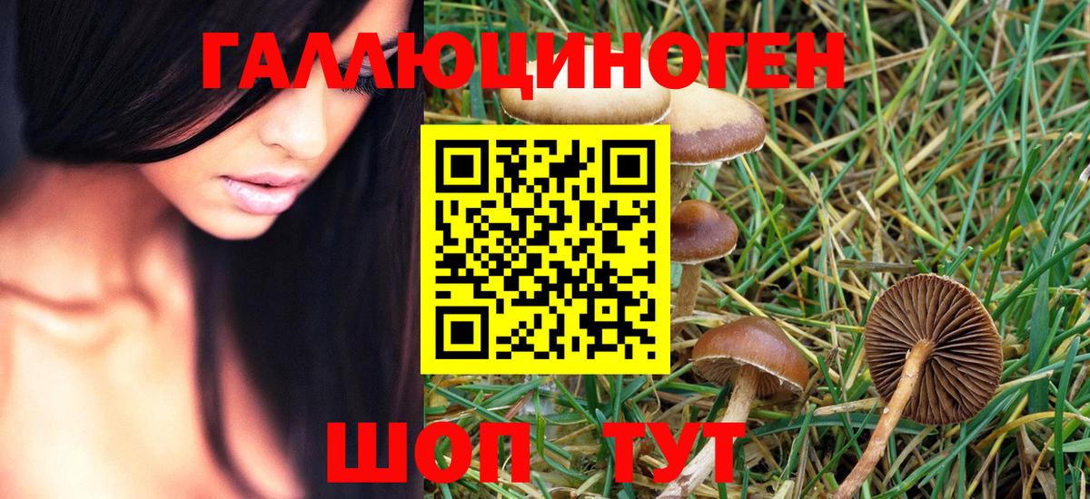 Псилоцибиновые грибы MAGIC MUSHROOMS Белово