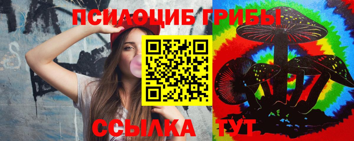 Белово  Псилоцибиновые грибы Cubensis  Вход с VPN 